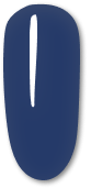 217 Ocean
