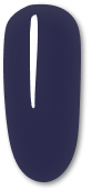 218 Ocean